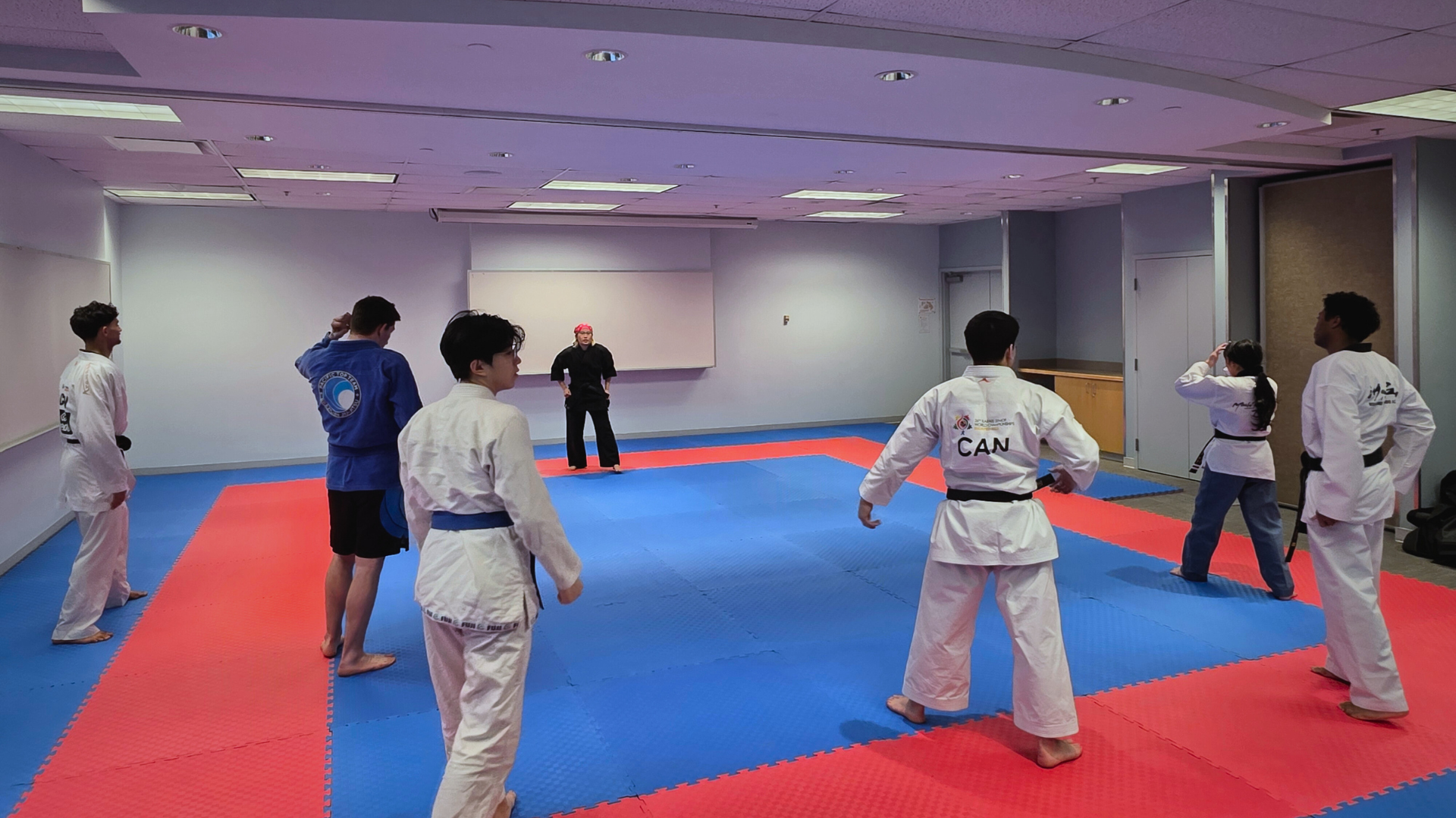 Hapkido