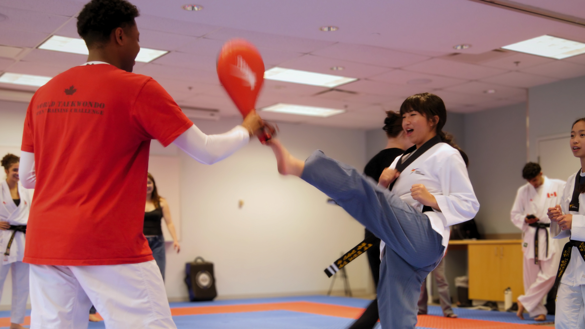 Taekwondo